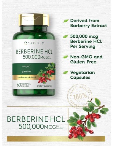 Carlyle Berberine HCL – 500 mg Barberry Extract | 60 Vegetarian Capsules | Non-GMO, Gluten-Free